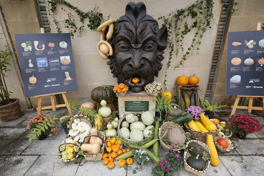 Por séptimo año consecutivo, el Jardín Botánico de Gijón ha acogido las jornadas dedicadas a las calabazas y a las tradiciones relacionadas con el Día de los Difuntos