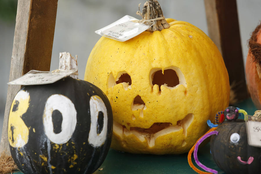 Por séptimo año consecutivo, el Jardín Botánico de Gijón ha acogido las jornadas dedicadas a las calabazas y a las tradiciones relacionadas con el Día de los Difuntos