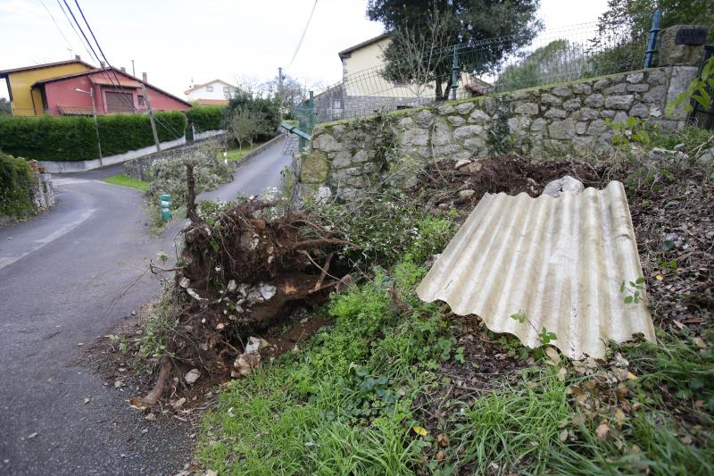 El viento y el fuerte oleaje marcan las útimas horas en Asturias. Árboles caídos o acumulación de residuos en las playas son algunos de los efectos de este temporal, que también deja bellas imágenes como el espectáculo de los bufones. 