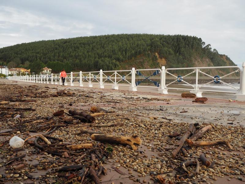 El viento y el fuerte oleaje marcan las útimas horas en Asturias. Árboles caídos o acumulación de residuos en las playas son algunos de los efectos de este temporal, que también deja bellas imágenes como el espectáculo de los bufones. 
