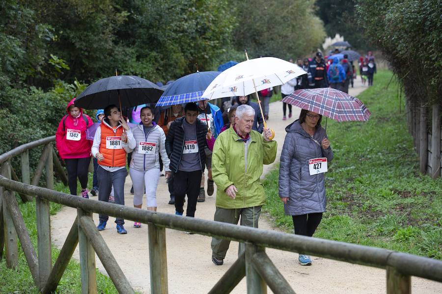 Fotos: ¿Estuviste en la VI Marcha Gijón Solidario? ¡Búscate!