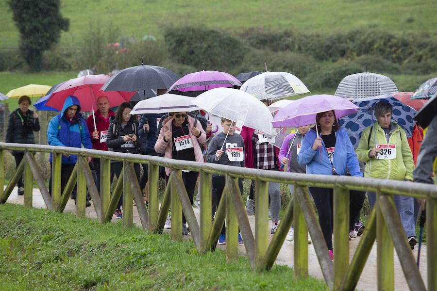 Fotos: ¿Estuviste en la VI Marcha Gijón Solidario? ¡Búscate!