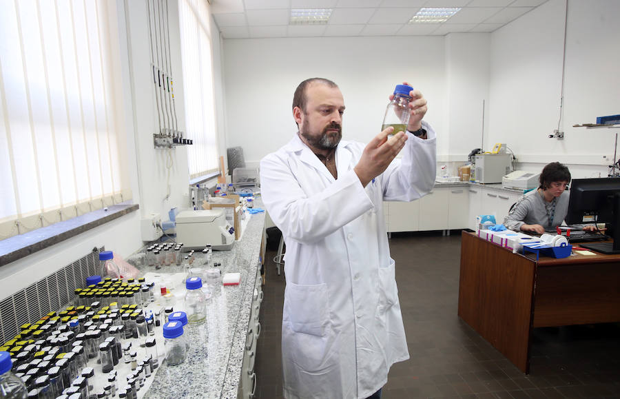 El Incar investiga desde Oviedo en energías renovables con grafeno, la captura de dióxido de carbono o la quema de biomasa. 