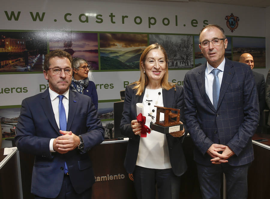 La presidente deL Congreso anunció la entrega de la Gran Cruz de la Orden Civil de Alfonso X El Sabio a Luis Felipe Fernández, impulsor de las jornadas, así como la Placa de Honor de Alfonso X El Sabio a los institutos de Ibias y Vegadeo