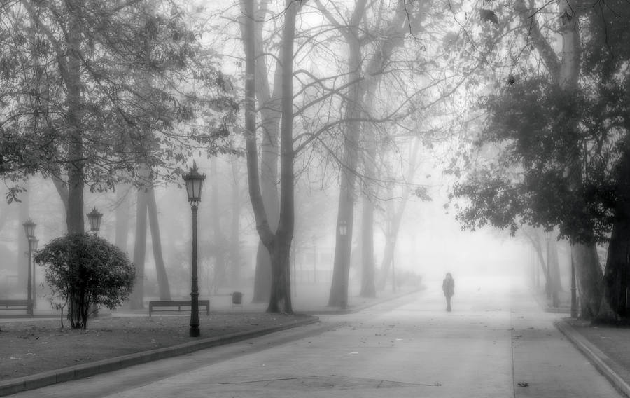 Fotos ganadoras del concurso de EL COMERCIO | Noviembre. Oscar García González. Este ovetense aprovechó la niebla del Campo San Francisco para captar la ‘Soledad’ en forma de figura que apareció ante su objetivo.