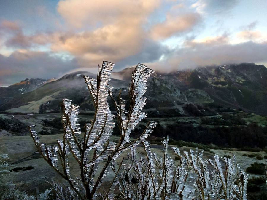 Fotos ganadoras del concurso de EL COMERCIO | Enero. Alba Prado. Capturó con su teléfono móvil –se había dejado la cámara en el coche– una potente helada en lo alto del puerto de Ventana que tituló ‘Hielo’. 