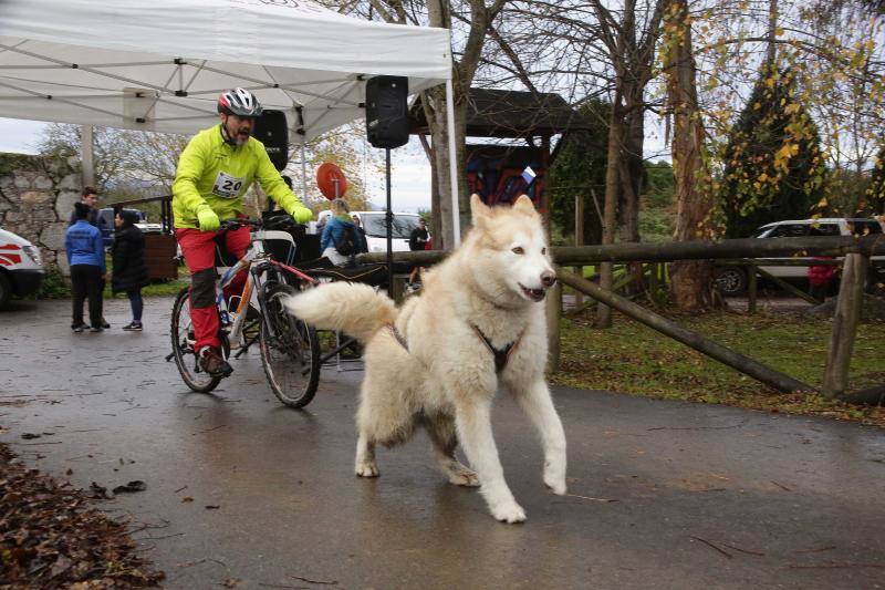 La localidad llanisca de Garaña de Pría acogió la cuarta edición del Mushing de los bufones de Pría