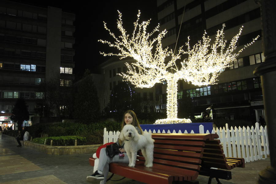 El alcalde de la capital asturiana fue el encargado de encender el entramado de luces y colores que llega a 215 calles de la ciudad y de la zona rural 