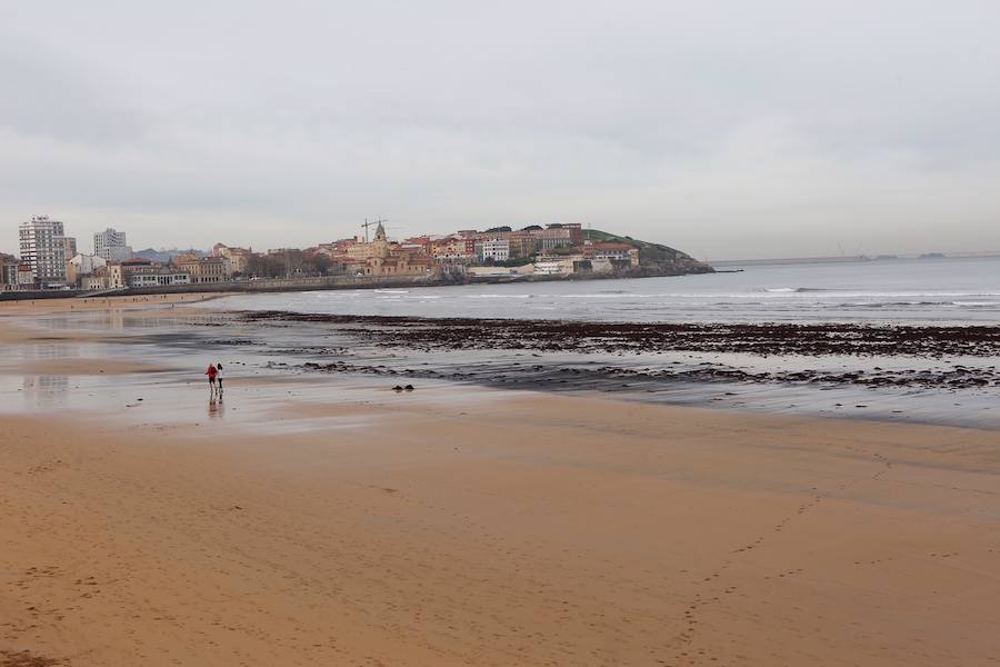 El pasado mes de abril, tras otro episodio de estas características, el Ayuntamiento de Gijón solicitó a la Universidad de Oviedo un estudio para determinar el origen de la mancha de carbón, aunque la mayoría de los expertos coinciden en apuntar como única causa el naufragio del carguero 'Castillo de Salas'.