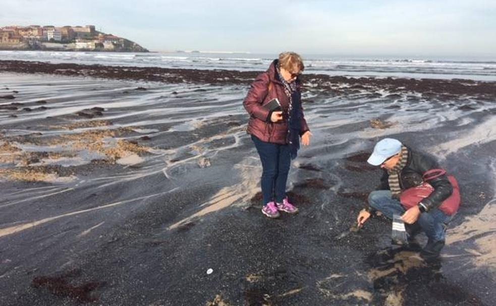 Científicos esta manaña en la playa de San Lorenzo.