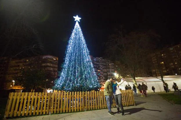 Un árbol de grandes dimisiones luce iluminado en Las Meanas. 