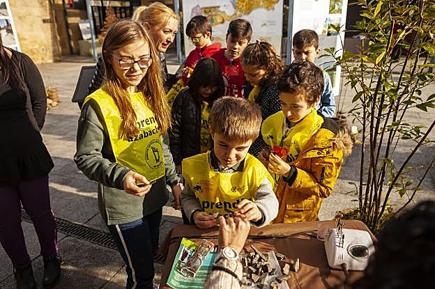 Los niños aprendieron a tratar las piedras de azabache en el Botánico. 