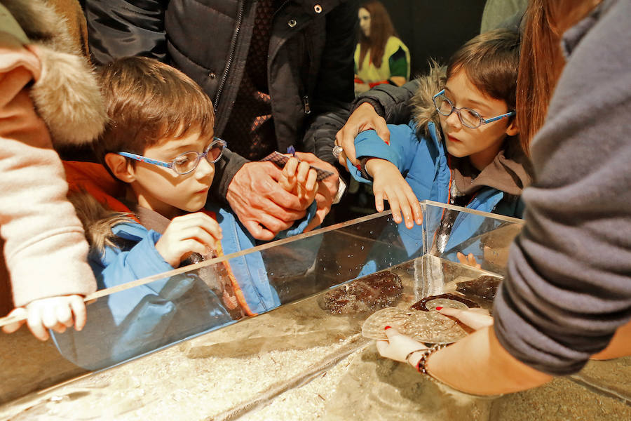 Hasta el 4 de enero, el recinto ferial de Gijón se dedica en cuerpo y alma al ocio y la diversión para los niños