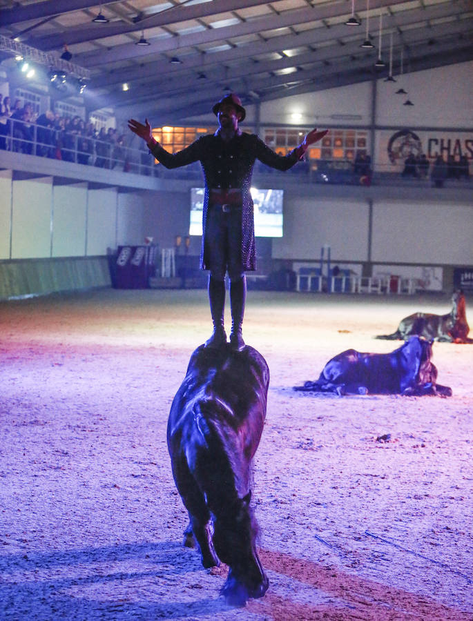 Santi Serra, especialista en doma clásica, hizo que el público se quedase con la boca abierta en la jornada inaugural del Concurso de Saltos Internacional Indoor.