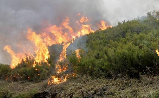 Incendio forestal en el entorno del bosque de Muniellos el pasado año 2017.