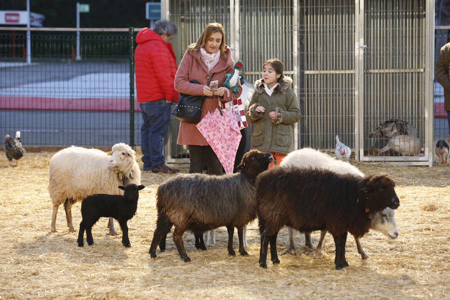 Hasta el 4 de enero, el recinto ferial de Gijón se dedica en cuerpo y alma al ocio y la diversión para los niños