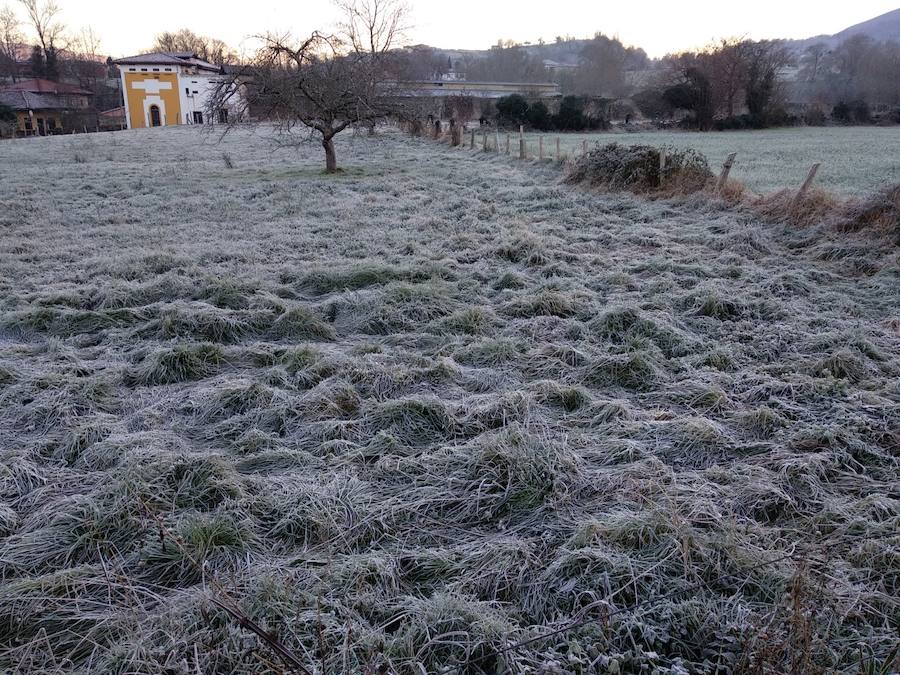 Las intensas heladas de estos días están dejando bellas estampas invernales, como las captadas esta mañana en Infiesto o la zona del pueblo de Pereda, en el concejo de Llanes.