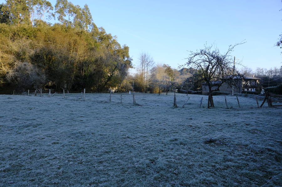 Las intensas heladas de estos días están dejando bellas estampas invernales, como las captadas esta mañana en Infiesto o la zona del pueblo de Pereda, en el concejo de Llanes.