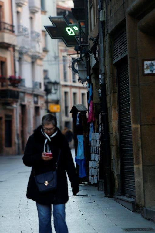 Gijón, Cangas del Narcea, Oviedo o Pajeres, al igual que otros muchos rincones de la región, amanecieron cubiertas de hielo