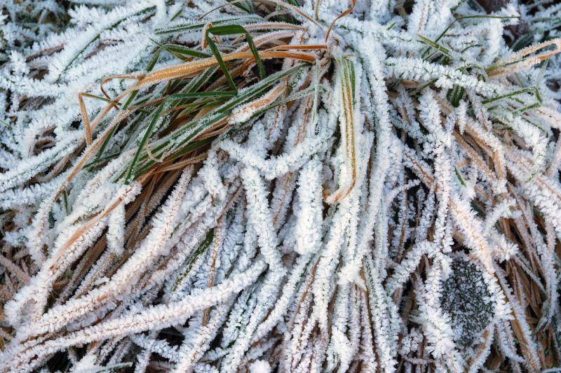 as temperaturas bajo cero con las que la región lleva días amaneciendo muestran estampas sorprendentes que compensan la sensación de frío. 