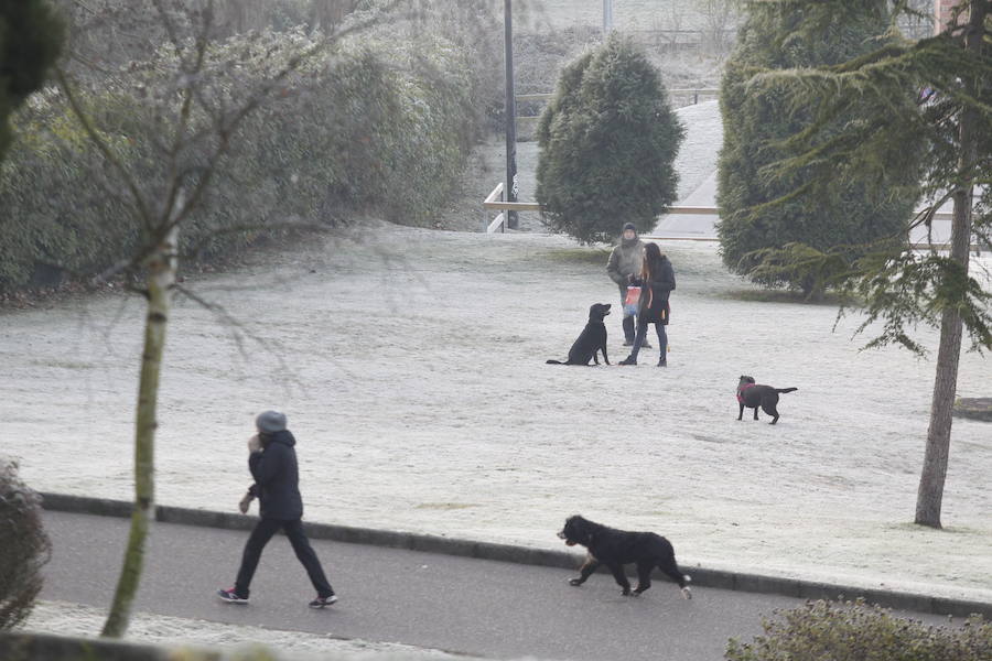 Las temperaturas bajo cero con las que la región lleva días amaneciendo muestran estampas sorprendentes que compensan la sensación de frío. 