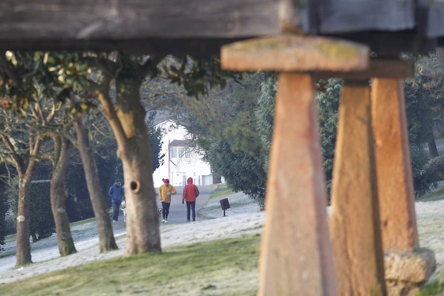 Las temperaturas bajo cero con las que la región lleva días amaneciendo muestran estampas sorprendentes que compensan la sensación de frío. 