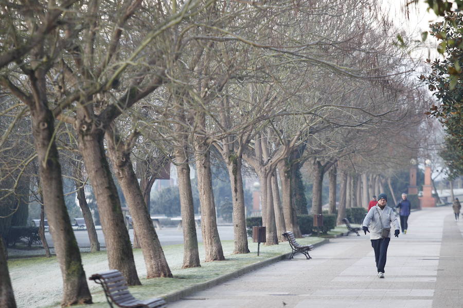 Las temperaturas bajo cero con las que la región lleva días amaneciendo muestran estampas sorprendentes que compensan la sensación de frío. 