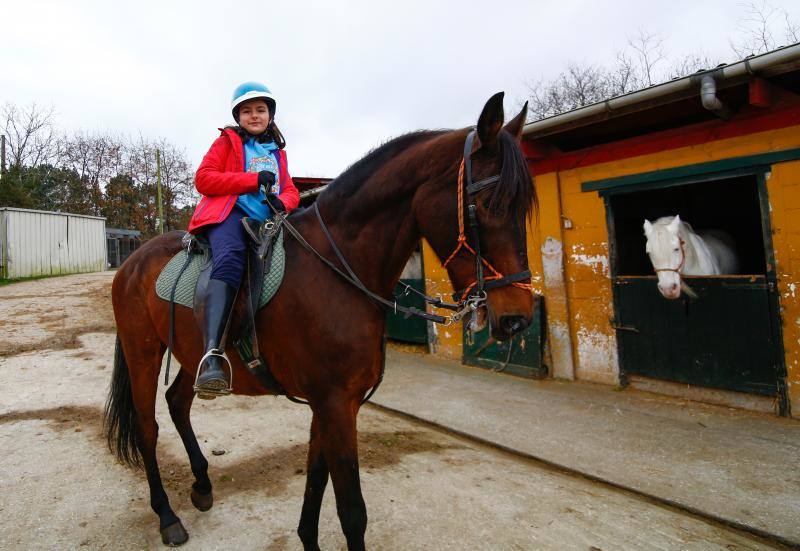 El concejo suma cinco escuelas y clubes de equitación con más de medio centenar de caballos. El cierre del Asturcón dispara la afición con una oferta de centros ecuestres que va desde lo puramente formativoa la cría de animales o la equitación terapéutica