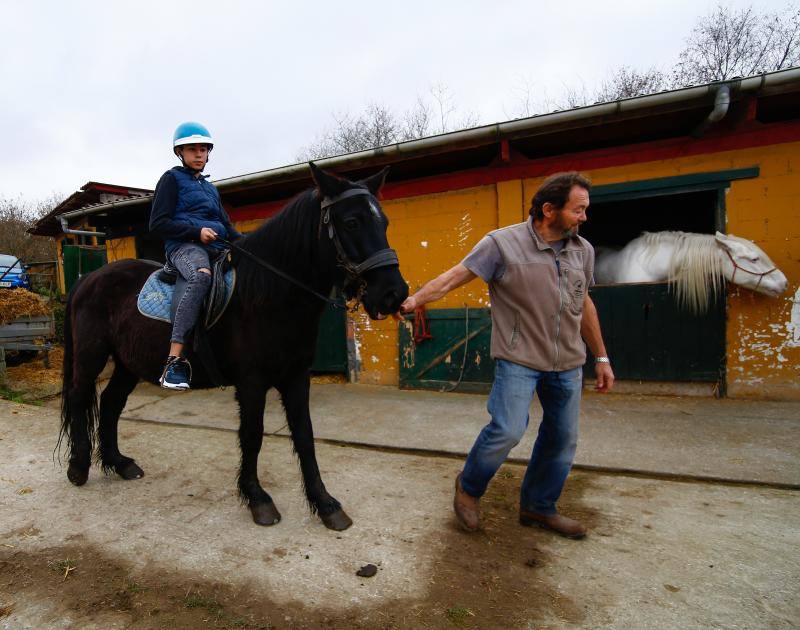 El concejo suma cinco escuelas y clubes de equitación con más de medio centenar de caballos. El cierre del Asturcón dispara la afición con una oferta de centros ecuestres que va desde lo puramente formativoa la cría de animales o la equitación terapéutica