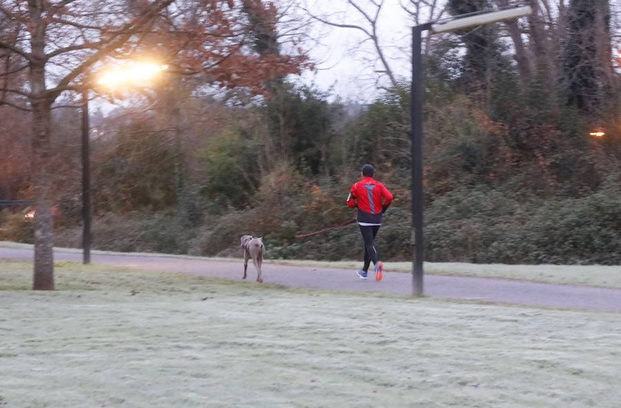 Cubierta por el manto blanco de una fuerte helada y con temperaturas de hasta seis grados bajo cero. Así ha amanecido Asturias este viernes.