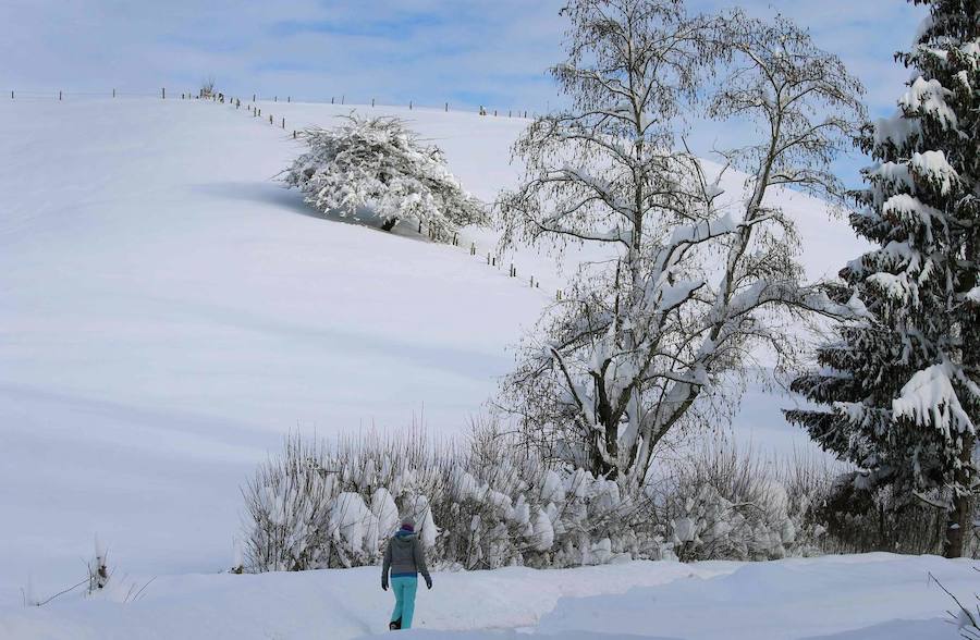El temporal de nieve se ceba con el sur de Alemania y Austria. Cientos de vuelos han sido cancelados en Múnich y en Fráncfort, mientras se extienden las alertas por la previsión de nuevas precipitaciones en amplias zonas de Baviera.