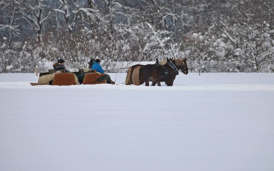 El temporal de nieve se ceba con el sur de Alemania y Austria. Cientos de vuelos han sido cancelados en Múnich y en Fráncfort, mientras se extienden las alertas por la previsión de nuevas precipitaciones en amplias zonas de Baviera.