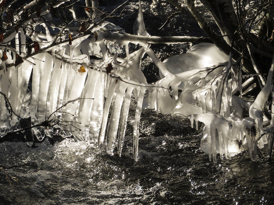 Las bajas temperaturas han propiciado heladas en la ruta de Valle del Lago, en el Parque Natural de Somiedo.