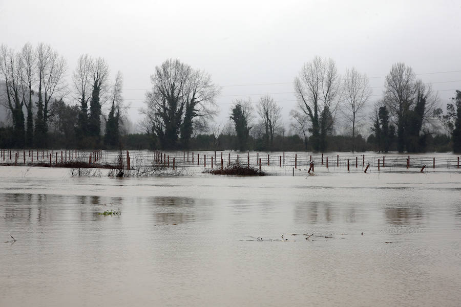 Las fuertes lluvias provocan el desbordamiento de estos dos ríos