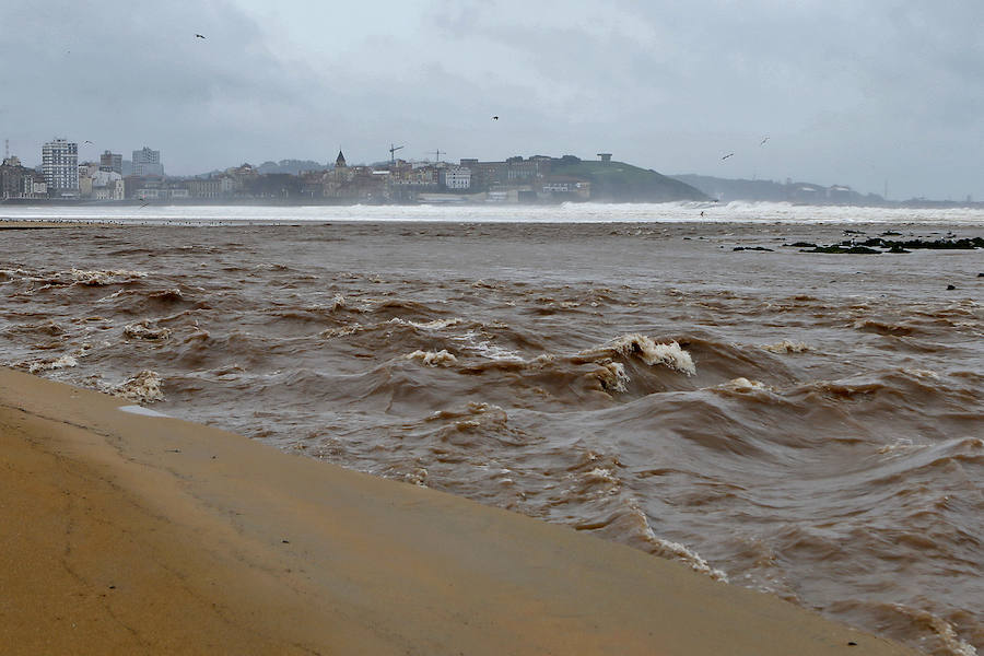 El Piles al límite de su capacidad baja con las aguas turbias y las consecuencias del temporal se dejan ver en distintos puntos de la ciudad