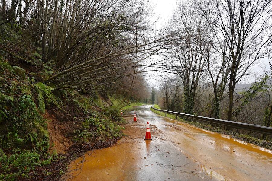 El río Trubia está desbordado en varios puntos, las alcantarillas anegadas y los portales de planta baja del grupo Coronel Baeza cubiertos de agua. Son algunas de las incidencias. 