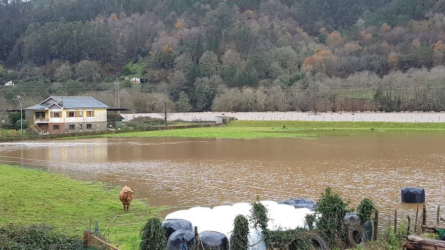 Las fuertes lluvias provocan el desbordamiento de estos dos ríos