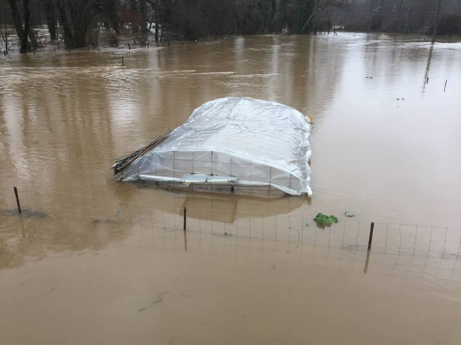 Cuatro ríos de la región permanecen en alerta ante la incesantes precipitaciones y el Principado ha activado el plan de inundaciones ante el temporal.