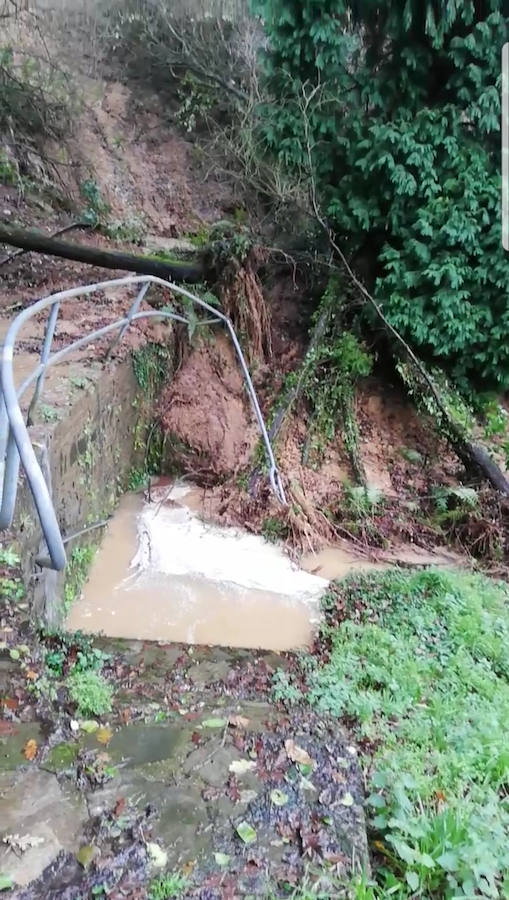 Las intensas lluvias que han caído en las últimas horas en la región desbordó el río Naviego y obligó a cerrar el paseo del Vino