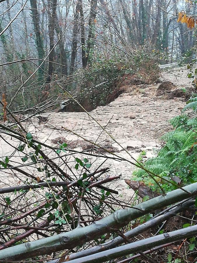 Las intensas lluvias que han caído en las últimas horas en la región desbordó el río Naviego y obligó a cerrar el paseo del Vino