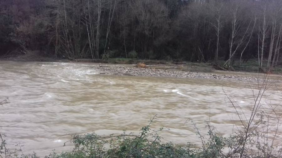 Las intensas lluvias que han caído en las últimas horas en la región desbordó el río Naviego y obligó a cerrar el paseo del Vino