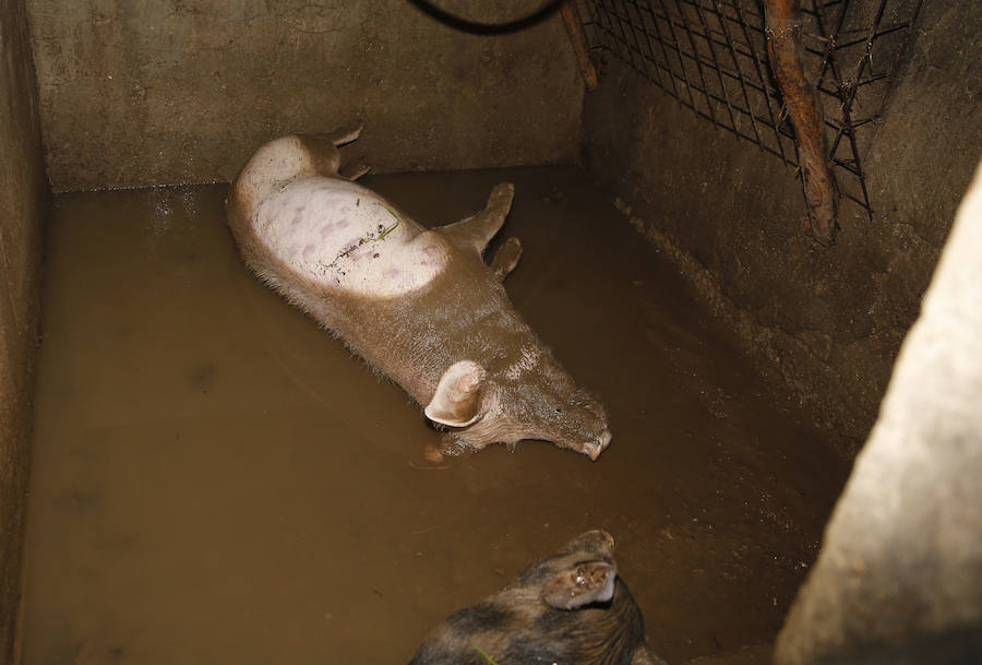 La crecida del río paralizó la central térmica de Lada y mantiene a una gran preocupación entre los vecinos de las Cuencas.