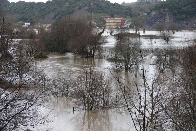 El Sella, desbordado en diferentes puntos, ha obligado a cortar al tráfico la carretera nacional 634 desde la localidad riosellana de Llovio hasta la capital parraguesa