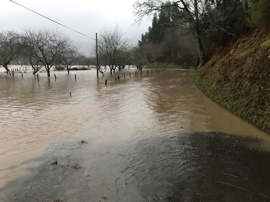 El Sella, desbordado en diferentes puntos, ha obligado a cortar al tráfico la carretera nacional 634 desde la localidad riosellana de Llovio hasta la capital parraguesa