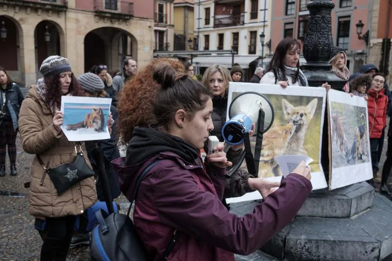 Medio centenar de personas se concentran en la plaza Mayor en contra de la caza del raposo convocados por Freefox