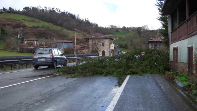 El Principado está en alerta naranja y el Gobierno regional pide a los ciudadanos que extremen la precaución ante posibles peligros por las fuertes precipitaciones y las rachas de viento que superan los 120 kilómetros por hora. 