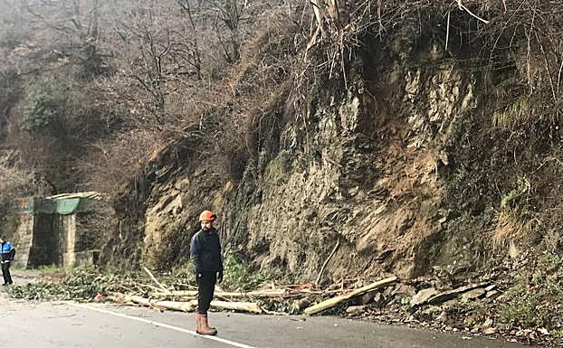 Operarios de la Dirección General de Carreteras están actuando durante toda la mañana en la antigua AS-117 en la zona conocida como Riegalatabla