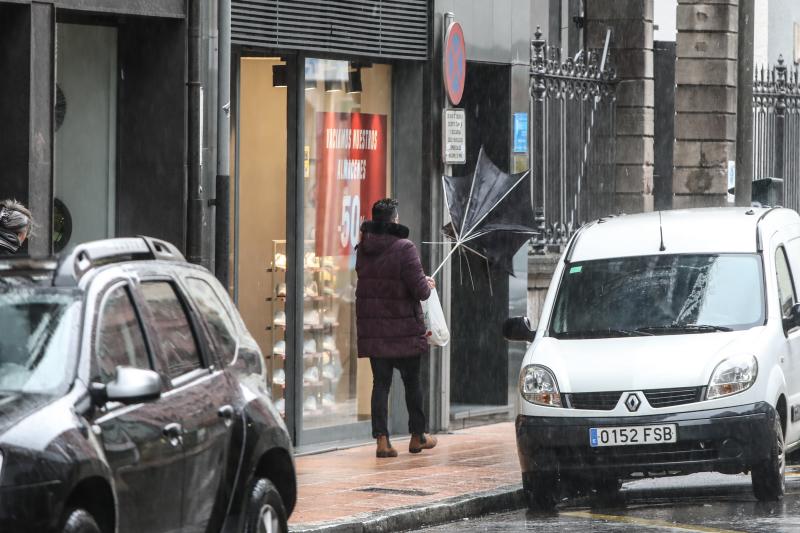 La ventosa jornada ha dejado papeleras y carteles caídos y un carretera cortada por un árbol en Naveces