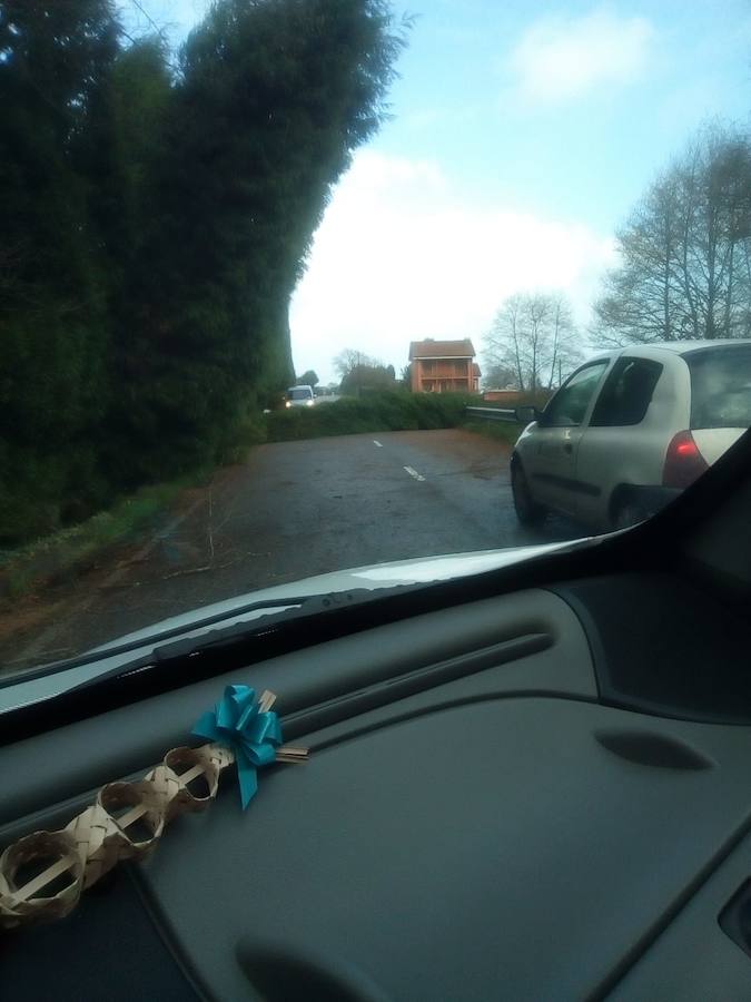 La ventosa jornada ha dejado papeleras y carteles caídos y un carretera cortada por un árbol en Naveces