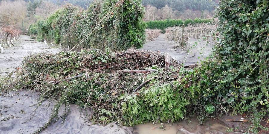 Las fuertes lluvias dejaron los cultivos cubiertos de fango y restos de plásticos y la maquinaria inservible